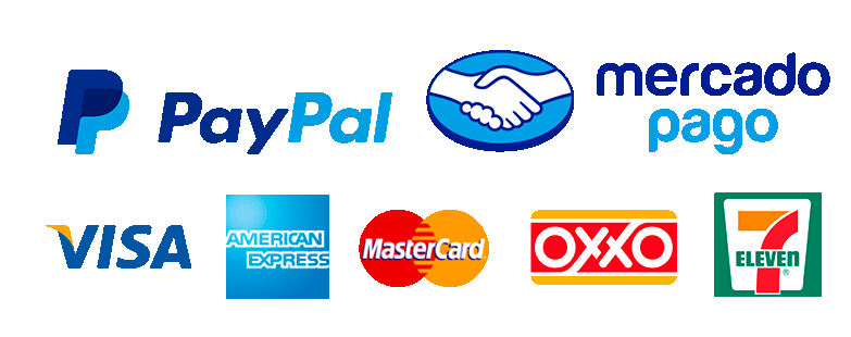 Pago Seguro
