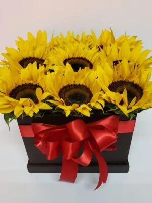 Caja MDF 22×22 Con Tapa Pintada en Negra DQE21