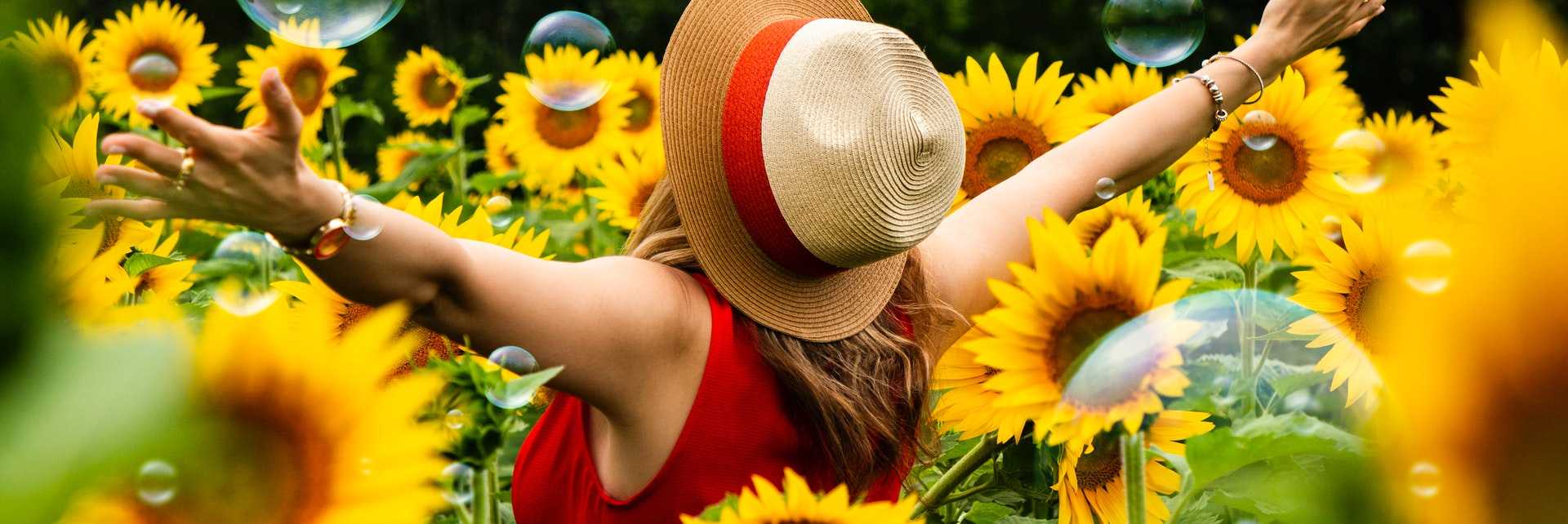 Lee más sobre el artículo El significado de los Girasoles